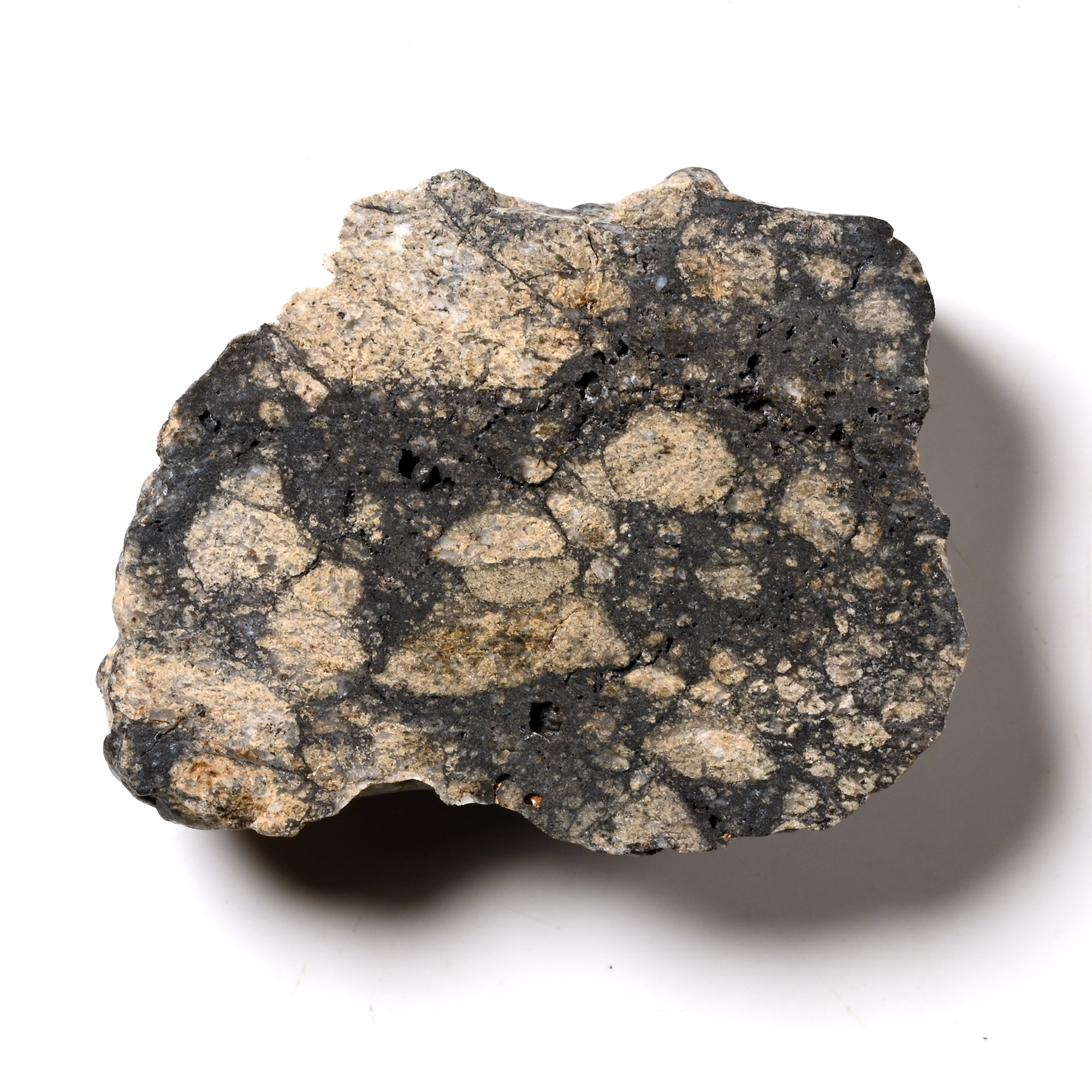 Natural History - Eucrite-Melt Breccia NWA 11576 Meteorite Slice